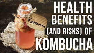 NEW 2024 Science on KOMBUCHA Tea Health Benefits  Is Kombucha ACTUALLY Good for Gut Health [upl. by Jayson]