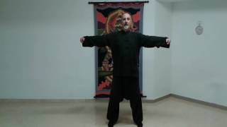 WEI CHI QIGONG  Qigong Taichi Reiki y meditación [upl. by Dunning432]