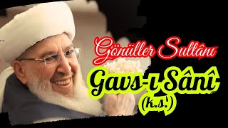 GAVSI SÂNÎ I ŞEYH SEYYİD ABDULBAKİ ELHÜSEYNÎ KS I HikayeIMenkîbeIDini Hikayeler [upl. by Farrel]