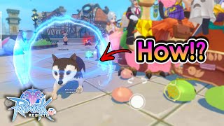 ROR How to Get Pet Aura Effect And Types Of Pet Aura Explained  King Spade [upl. by Melania]