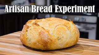 Artisan bread experiment [upl. by Devaney]