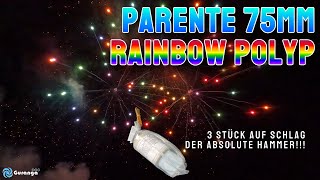 4K  75mm Zylinderbombe  Parente Rainbow Polyp  3x auf Schlag [upl. by Tobye383]