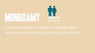 Monogamy [upl. by Karrie]