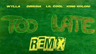 Wylla  Too Late Remix Feat Drissia  Lil Cool amp King Koloni Official Music Video [upl. by Bathelda]