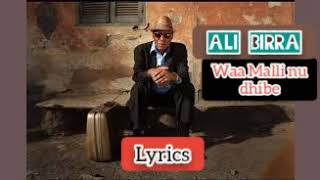 Ali BirraaWaa Malli nu dhibeBest Oromo Music with LyricsWalaloo [upl. by Stetson432]