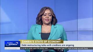 Zambia’s finance minister delivers update on budget and performance [upl. by Cita]