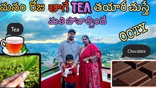 టీ ఫ్యాక్టరీ ఇలా ఉంటుందా 😳 OOTY tea factory [upl. by Denny]