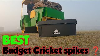 best budget cricket shoes you can buy under 5000  adidas cricket spikes  eym cricket [upl. by Whitney612]