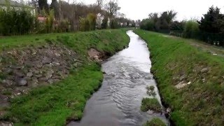 Flore et petite faune des berges des ruisseaux broyés [upl. by Ezechiel]