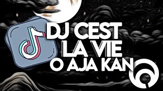 DJ CEST LA VIE X O AJA YA KAN  OLD SOUND VIRALL [upl. by Sadinoel266]