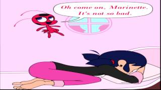 Miraculous Ladybug Comic DubThe Accidental Reveal [upl. by Merrile]