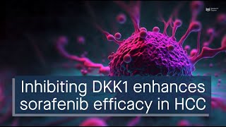 Inhibiting DKK1 enhances sorafenib efficacy in HCC [upl. by Rasaec]