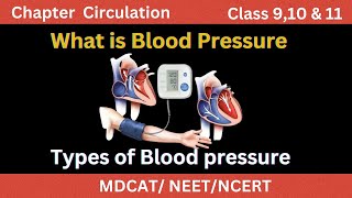 Explanation of Blood pressure for MBBS amp MDCAT students What is systolic amp diastolic Blood pressure [upl. by Noirret554]