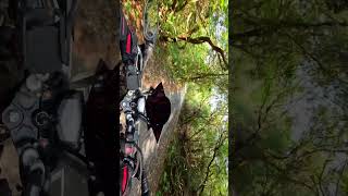 Modified Apache RTR 200 shorts 🔥 shortvideo shorts viralvideo [upl. by Alden]