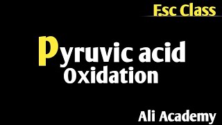 Pyruvate oxidation  Pyruvic acid oxidation lecture class 11th in urdu hindi [upl. by Atsirt577]