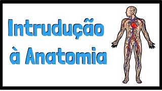 Introdução à Anatomia  Conceitos Anatômicos  Divisão do corpo humano  Resumo Animado [upl. by Idnod22]