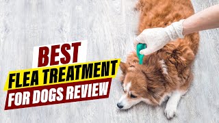 Best Flea Treatment for Dogs in 2024 A Comprehensive Review [upl. by Idner]