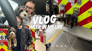 VLOG PUPPY visits dad at the FIRE DEPARTMENT work days in my life as a nurse [upl. by Haletta]