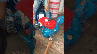 4hp China diesel engine start [upl. by Leterg]