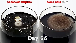 Coke VS Coke Zero  Time lapse 4K TOP REQUEST [upl. by Sirdna]