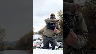 Upper Kenai River fishing tacoflyco flyfishing kenairiver [upl. by Dlaner327]