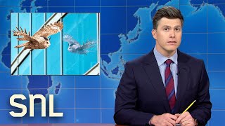 Weekend Update Flaco the Owl Dies KFC Launches Fried Chicken Pizza  SNL [upl. by Munshi]