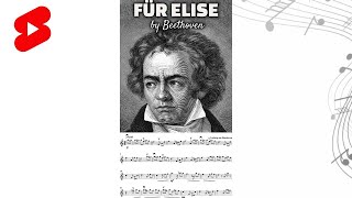 Für Elise by Beethoven violin lesson shorts [upl. by Notsa]