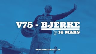 V75 tips Bjerke 163  Tre S Schas med stjärnan [upl. by Ojytteb994]