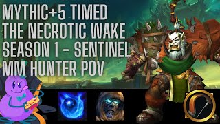 M5 The Necrotic Wake  Sentinel MM Hunter POV  TWW Season 1 [upl. by Samaj653]