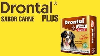 Drontal plus [upl. by Acinej824]