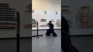 Ninjutsu Sparring and Applications [upl. by Pressman622]