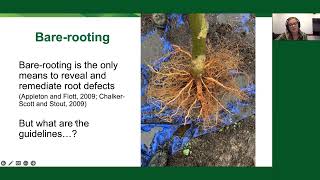 Root Defects of ContainerGrown Trees Should You Remediate Before Planting  Riley Rouse [upl. by Hgielram601]