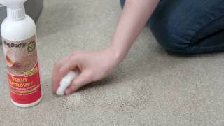 How To Remove Acid Based Carpet Stains White Wine Coffee Tea Fruit Juice etc [upl. by Ecnav]