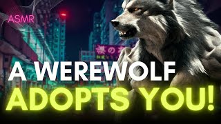 A Werewolf Adopts You ASMR Roleplay [upl. by Jorgensen725]