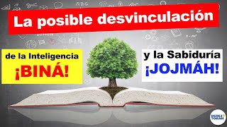 👉🏼La posible desvinculación de la inteligencia biná 🧠y la sabiduría 💥jojmáh⁉️ [upl. by Nylessoj]