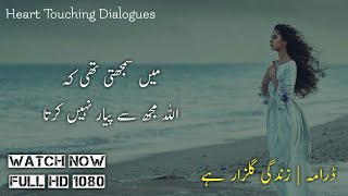 Zindagi gulzar hai famous dialogues part 2  Kashaf Diary Scene  Zindagi gulzar hai  Umair Writes [upl. by Nybbor]