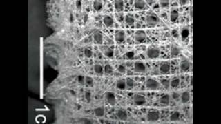 NanoEngineering Supermaterials [upl. by Ahael]