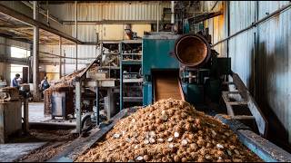 ¿Cómo Se Hace El Aceite De Coco Proceso En Fábrica [upl. by Firahs]