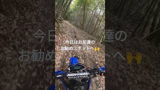 WRでお友達のお勧め鉄塔へ遊びに行きました enduro 林道 wr250r 休日 [upl. by Russi]