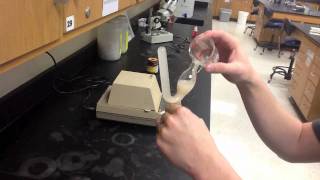 Lab Protocol  Fermentation in Yeast Unit 9 Respiration [upl. by Enajyram]