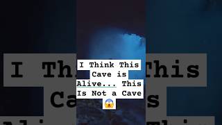 I Think This Cave is Alive This Is Not a Cave 😱 horrorstory scary strangeoccurrences [upl. by Annawot]