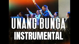 UNANG BUNGA Instrumental KaraokeVideoke [upl. by Karly]