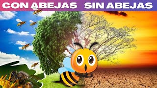 🧑‍🌾🐝 Las Abejas y su Importancia en la Polinización 🌼 [upl. by Bever]