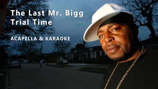 The Last Mr Bigg  Trial Time  Acapella Vocals amp Karaoke Instrumental [upl. by Issi]