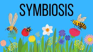 What is symbiosis in Biology Mutualism  Commensalism  Parasitism [upl. by Avenej]