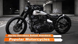 Harley Davidson Softail Standard Popular 2024 Motorcycles [upl. by Petracca]