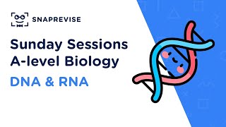 Alevel Biology Sunday Sessions DNA amp RNA  Revision Webclass [upl. by Luckin]