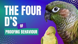 The Four Ds of Proofing a Behaviour  Flock Talks [upl. by Orozco]