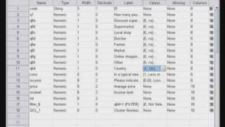 SPSS Data manipulation [upl. by Paddy]