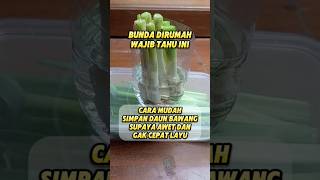 Cara mudah simpan Daun Bawang supaya awet dan tidak cepat layu sorts [upl. by Latnahc]